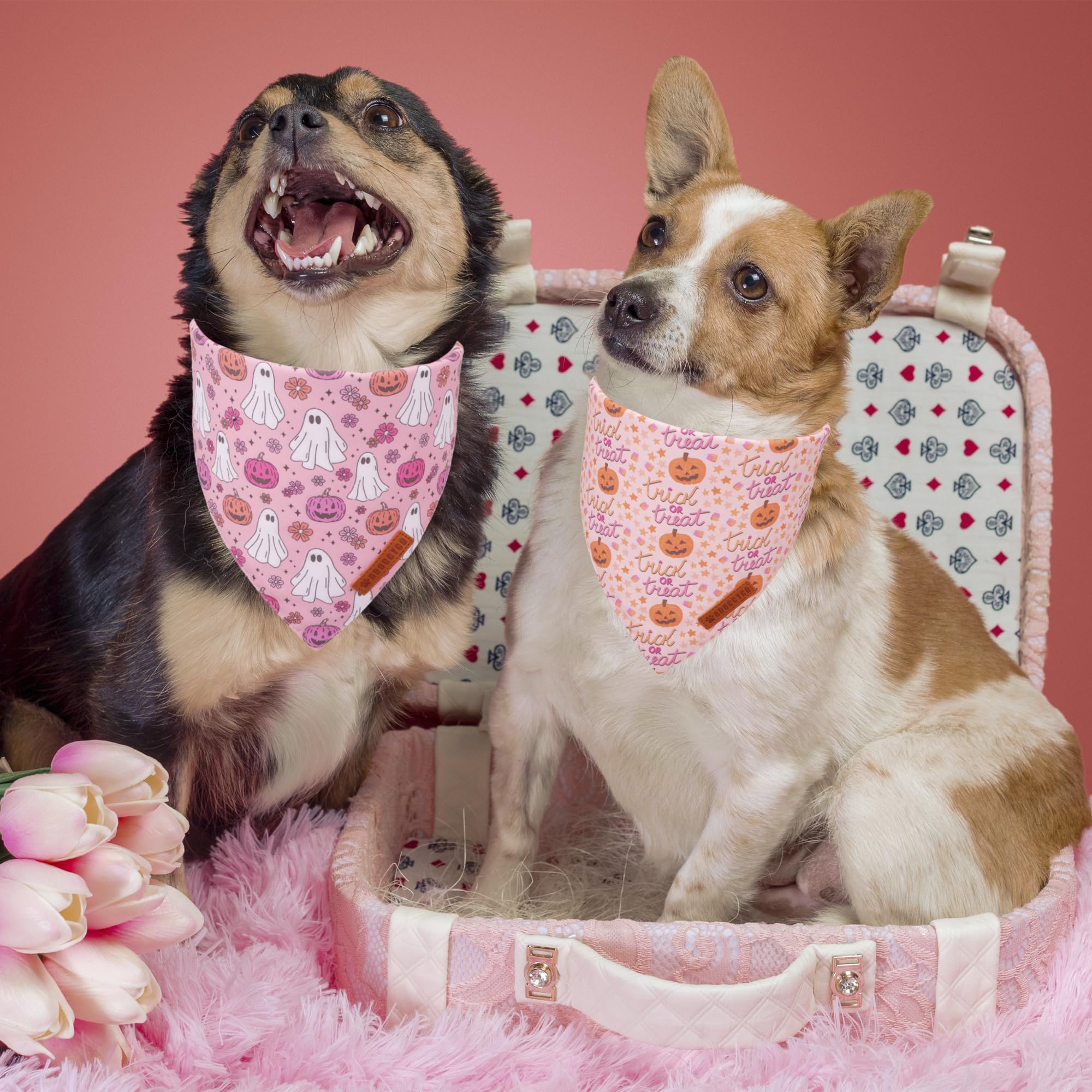 ADOGGYGO coutures et doublure, bandana durable et confortable