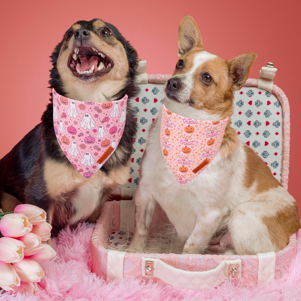 ADOGGYGO coutures et doublure, bandana durable et confortable