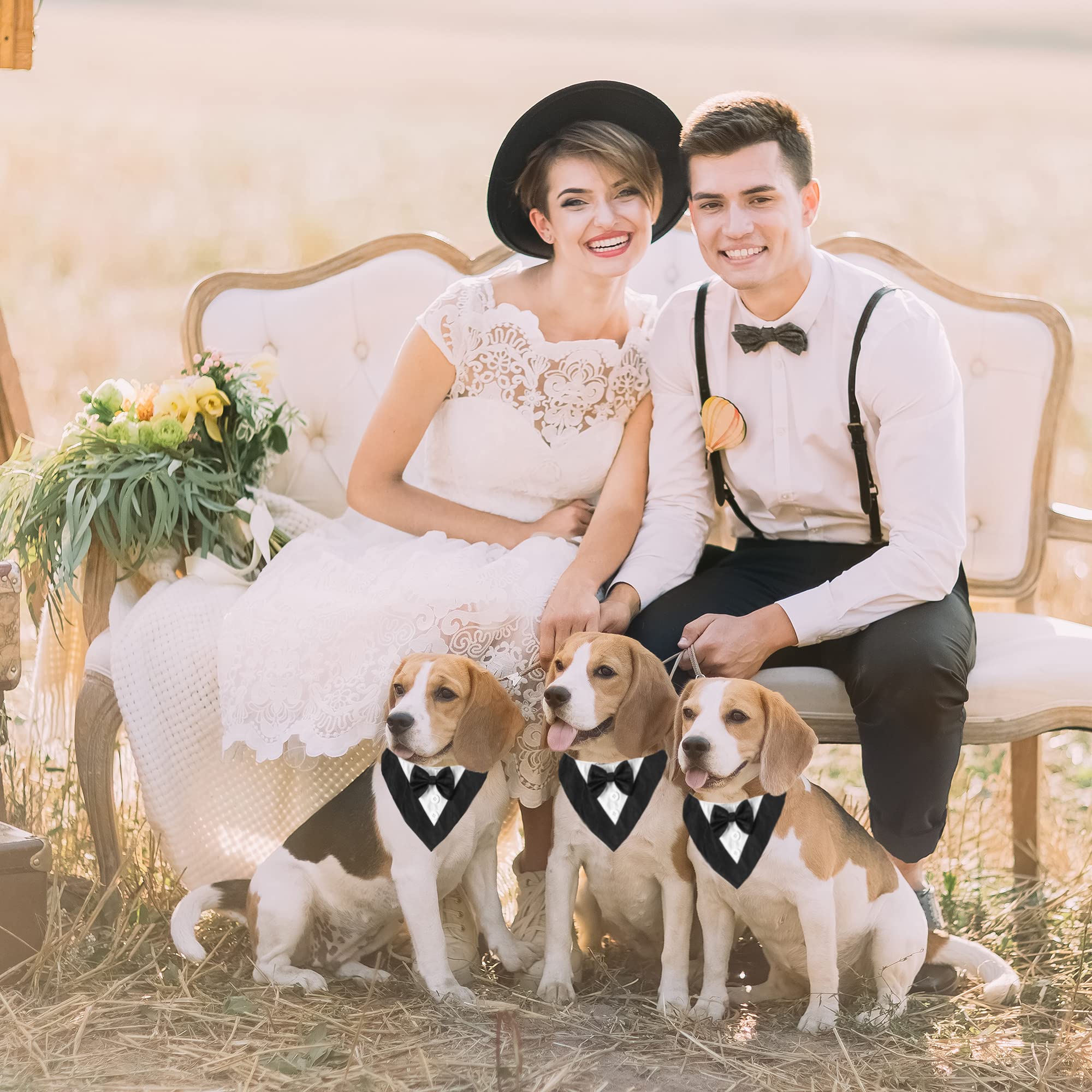 ADOGGYGO chien portant le bandana lors d'une cérémonie, look formel