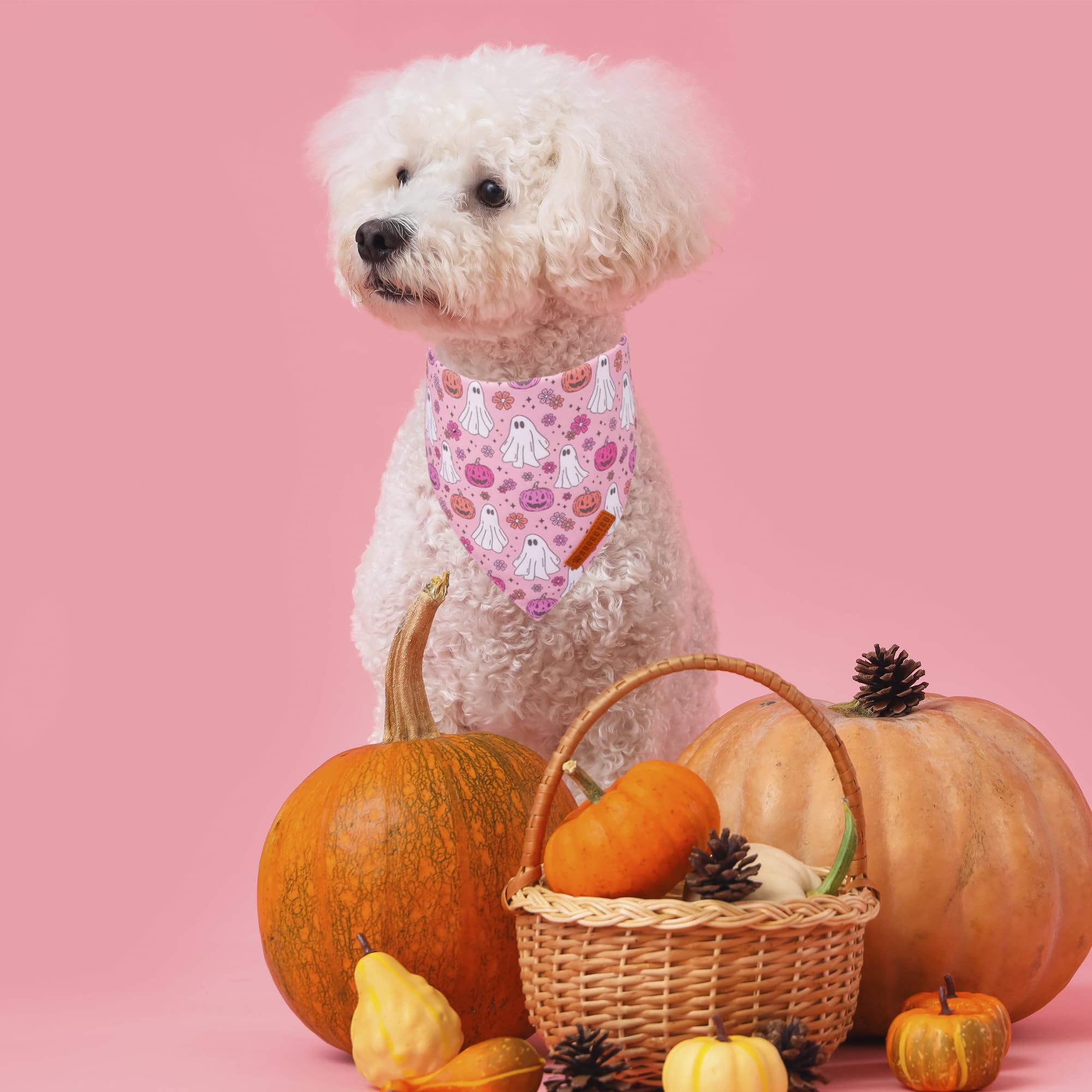ADOGGYGO deux bandanas trick or treat et fantôme inclus, ensemble pratique cadeau
