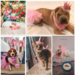 ADOGGYGO bandana et guirlande happy birthday, complète la décoration