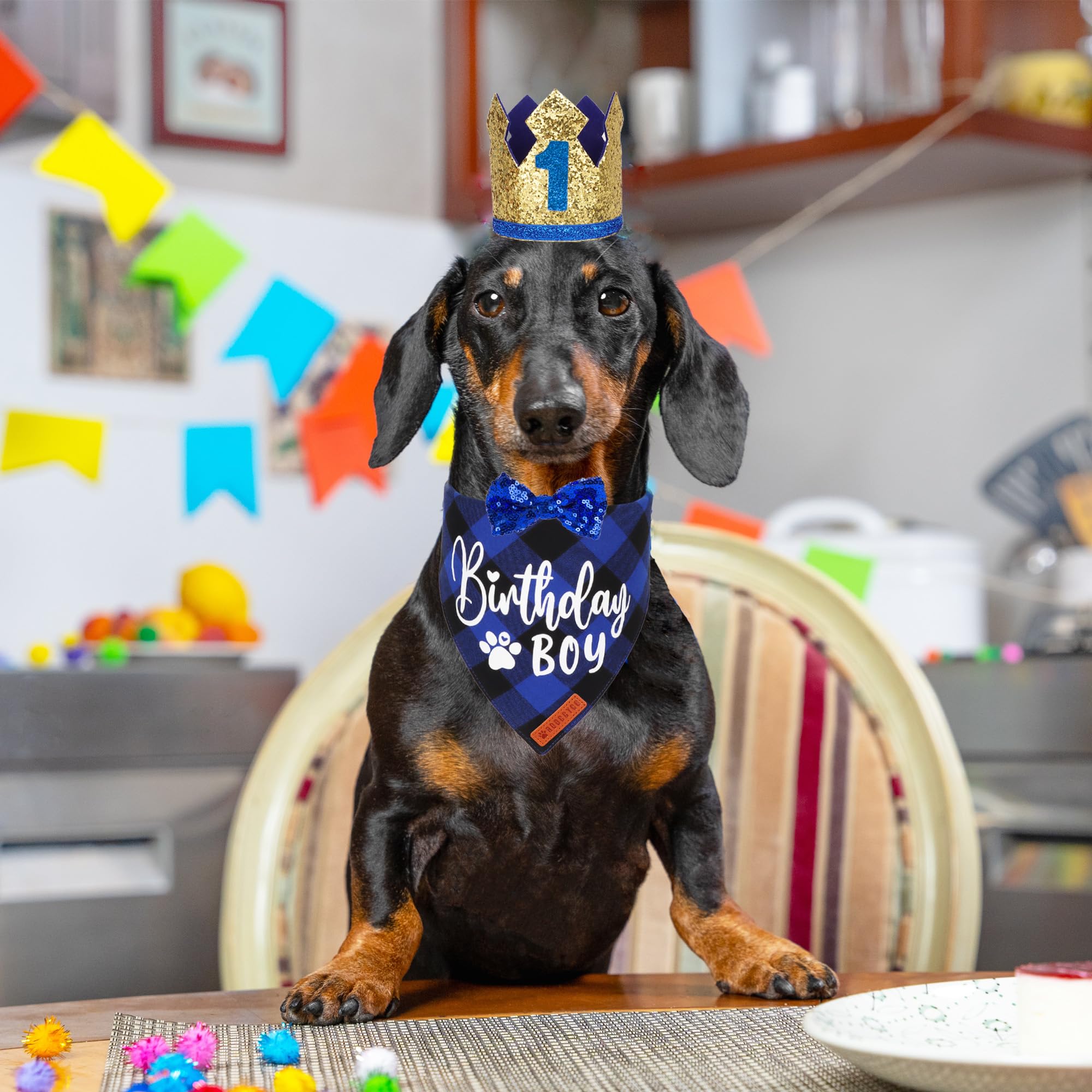 ADOGGYGO bandana gros plan tissu coton bleu à carreaux confortable et durable