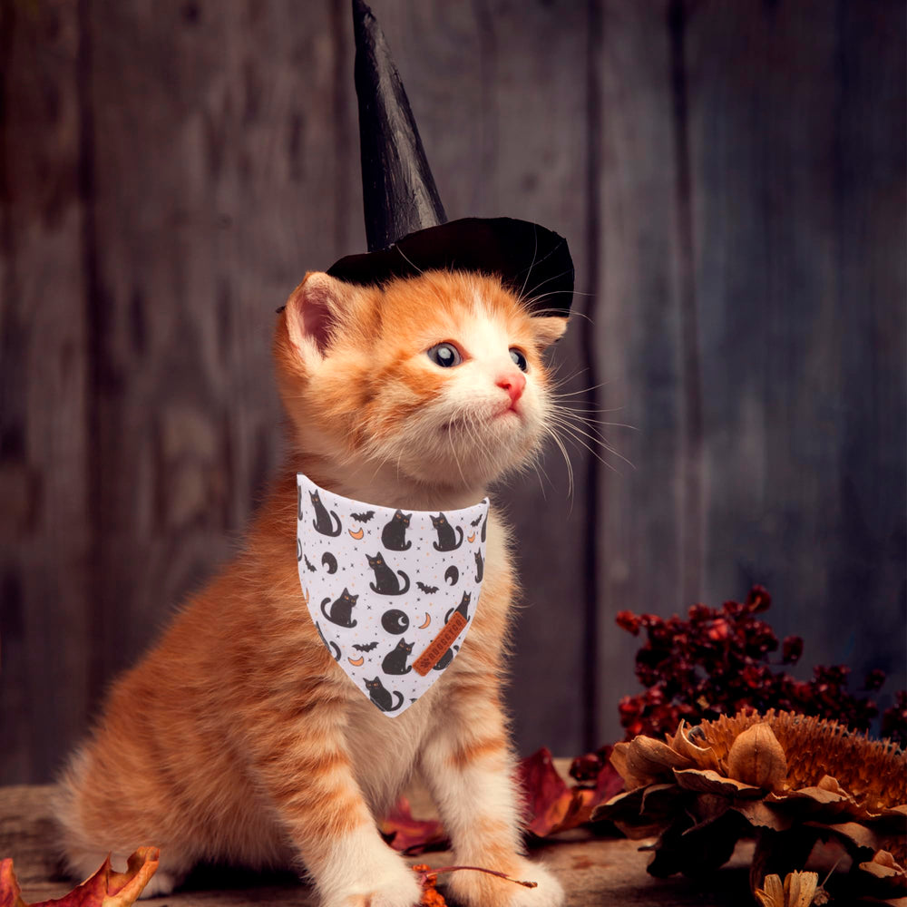 ADOGGYGO bandana porté par chat, mise en valeur pour photo