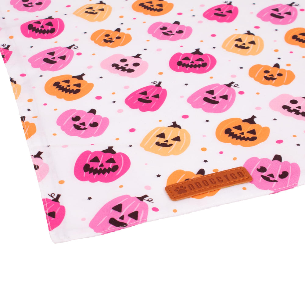 ADOGGYGO emballage ouvert montrant les deux bandanas inclus