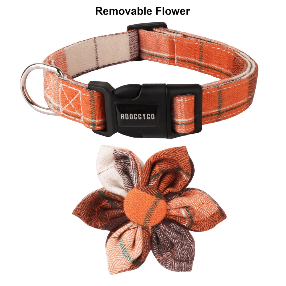 ADOGGYGO boucle et D-ring en acier inoxydable garantissant une attache sûre