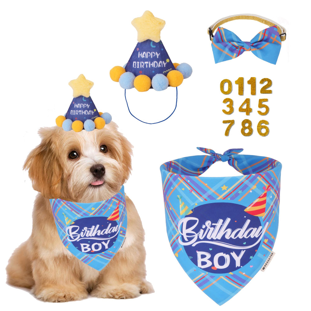 ADOGGYGO chapeau anniversaire sur emballage montrant motif et solidité