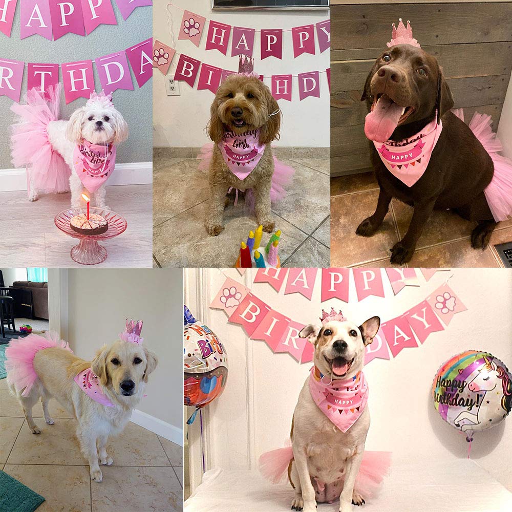 ADOGGYGO chapeau de fête porté sur chienne, maintien facile et décoratif