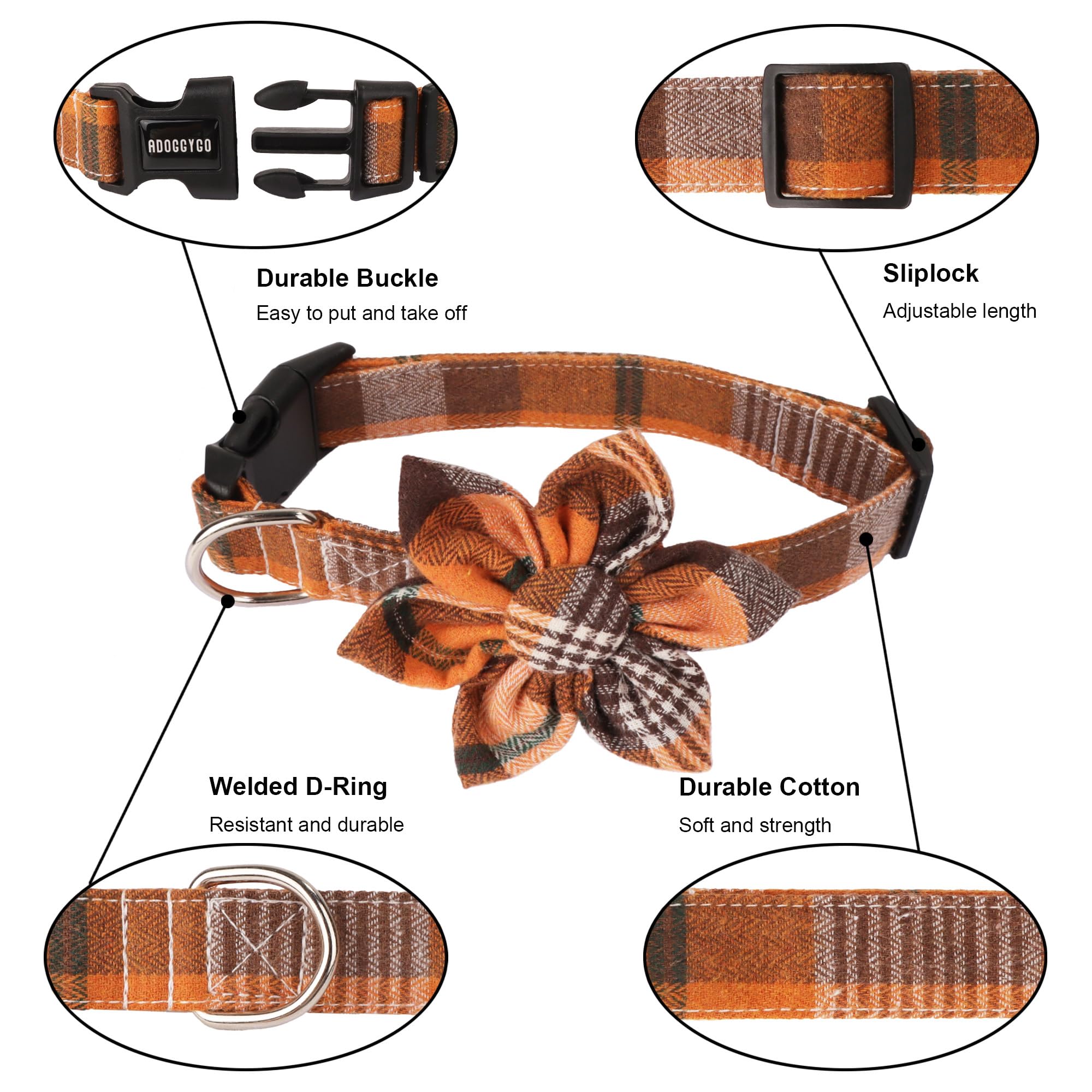 adoggygo collier porté lors d'une promenade, look automnal et ajustement sûr