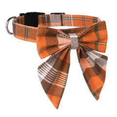 ADOGGYGO collier porté par chien illustrant l'ajustement confortable en promenade