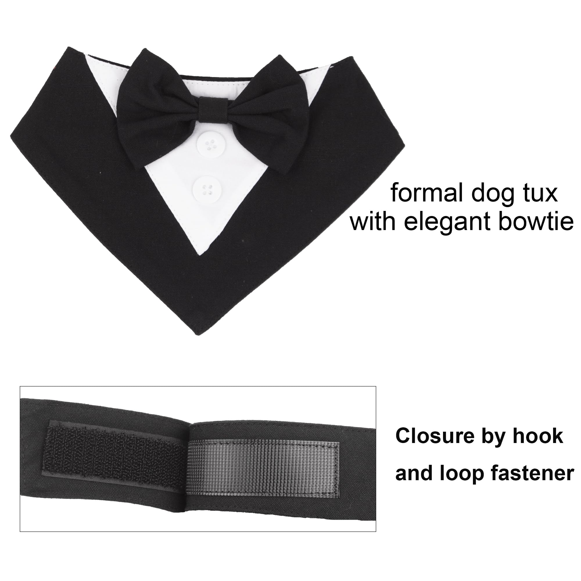 ADOGGYGO bandana taille XL porté par grand chien montrant ajustement