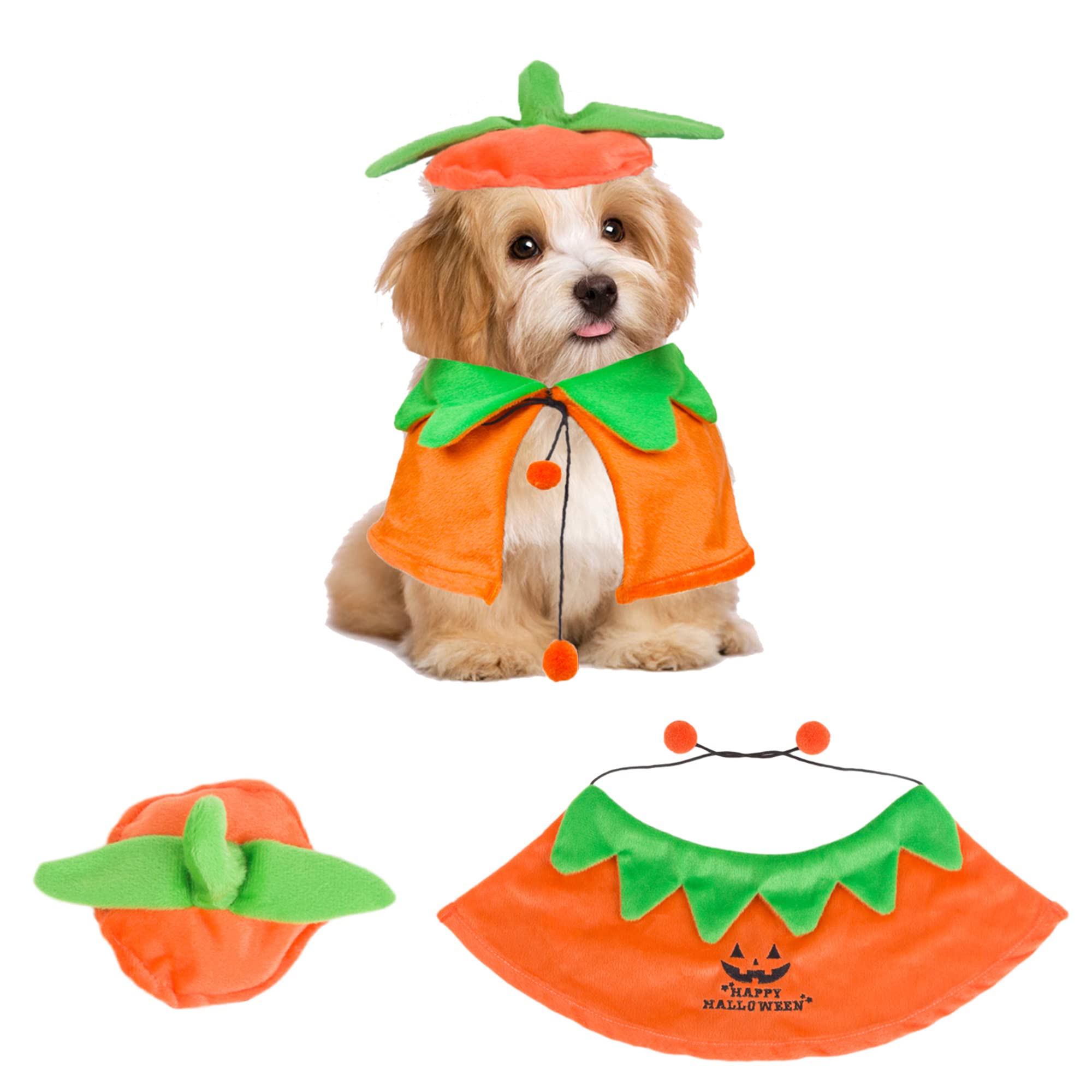 ADOGGYGO costume citrouille vue frontale montrant cape orange attrayante