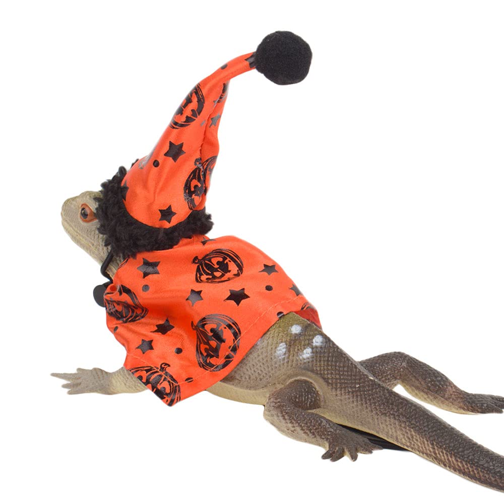 ADOGGYGO costume porté sur dragon barbu illustrant ajustement sûr