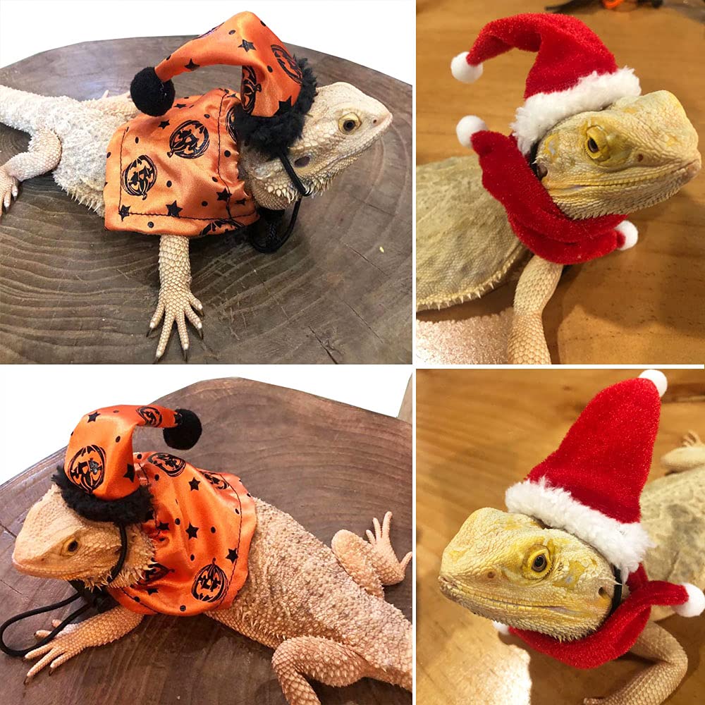 ADOGGYGO bonnet et écharpe Noël gros plan soulignant douceur