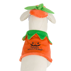 ADOGGYGO comparaison taille sur chien illustrant ajustement pour petits moyens