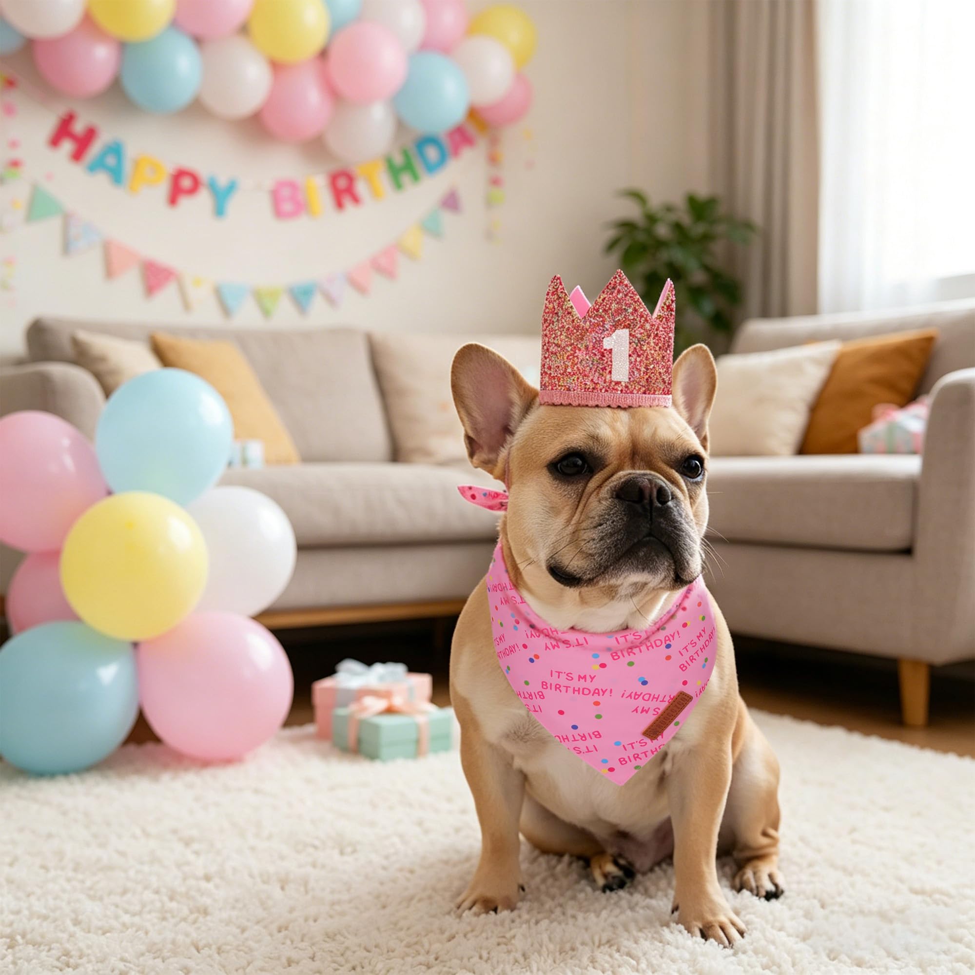 ADOGGYGO gros plan paillettes de la couronne, brillant sans irriter
