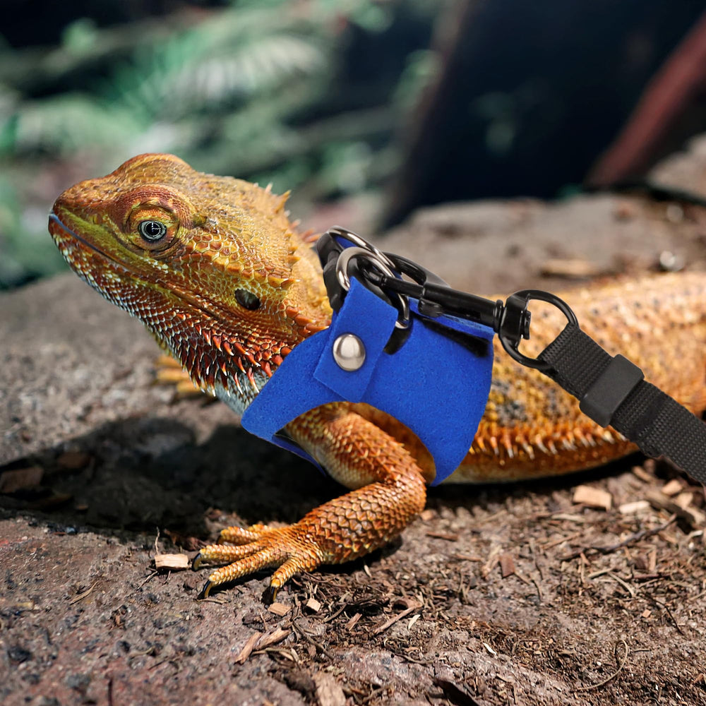 ADOGGYGO harnais en usage sur dragon barbu dans jardin pour sécurité