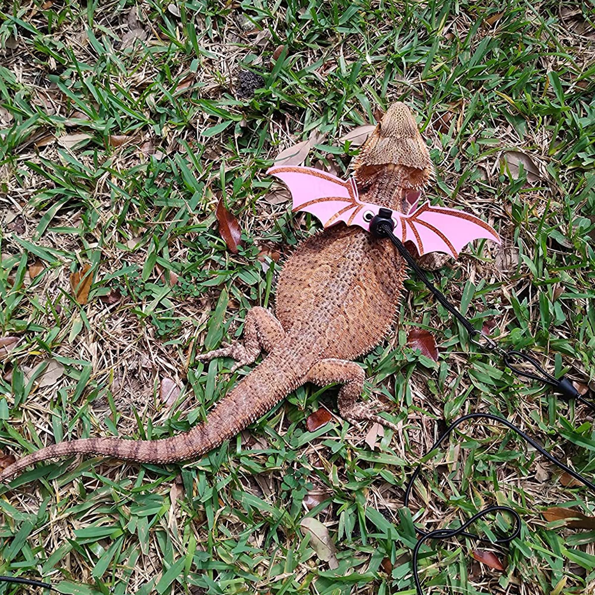 ADOGGYGO détail aile bat rose ajoutant style sans gêner