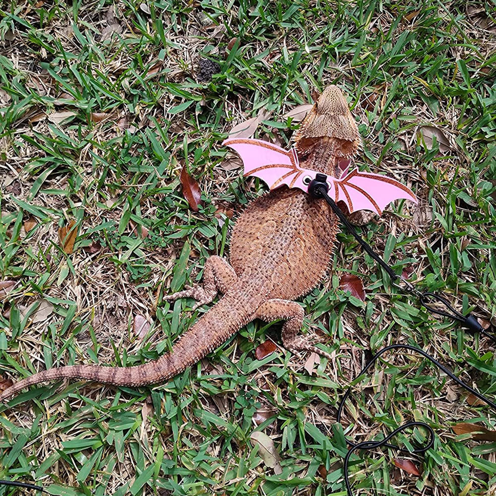ADOGGYGO détail aile bat rose ajoutant style sans gêner