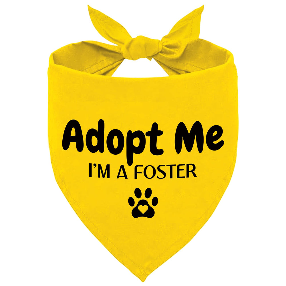 Advivio bandana face avant montrant le message adopt me visible