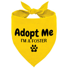 Advivio bandana face avant montrant le message adopt me visible