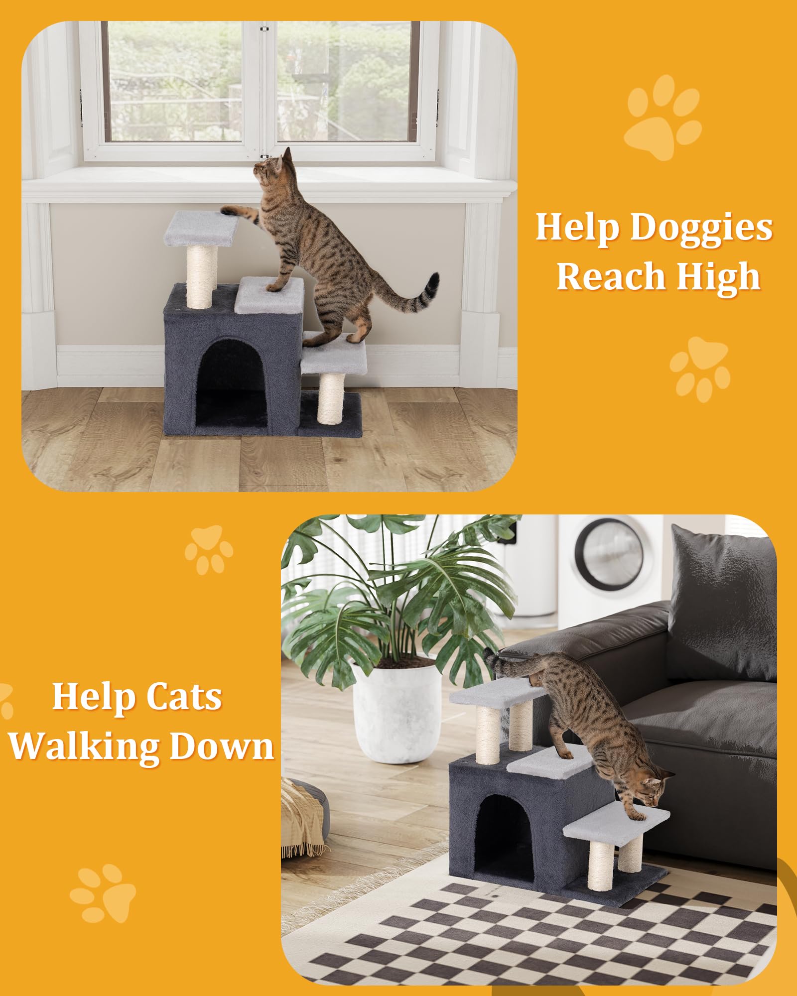 Aechonow chat monte les marches, aide mobilité et confiance