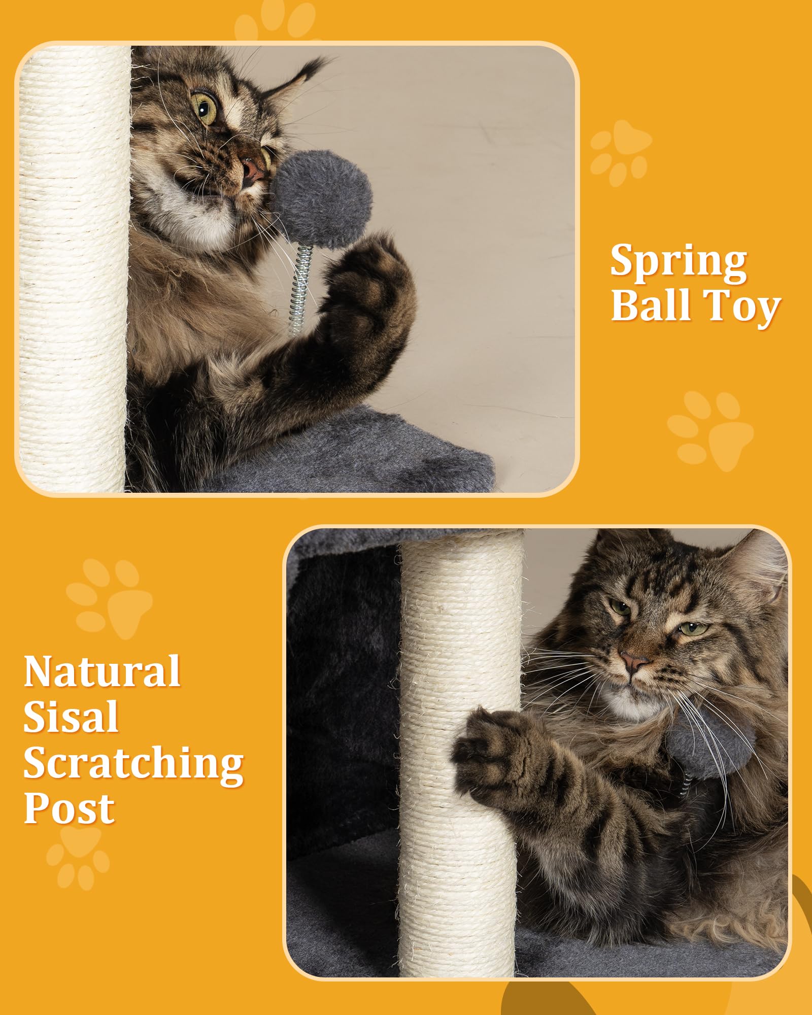 Aechonow Maine Coon installé sur le perchoir pour repos spacieux