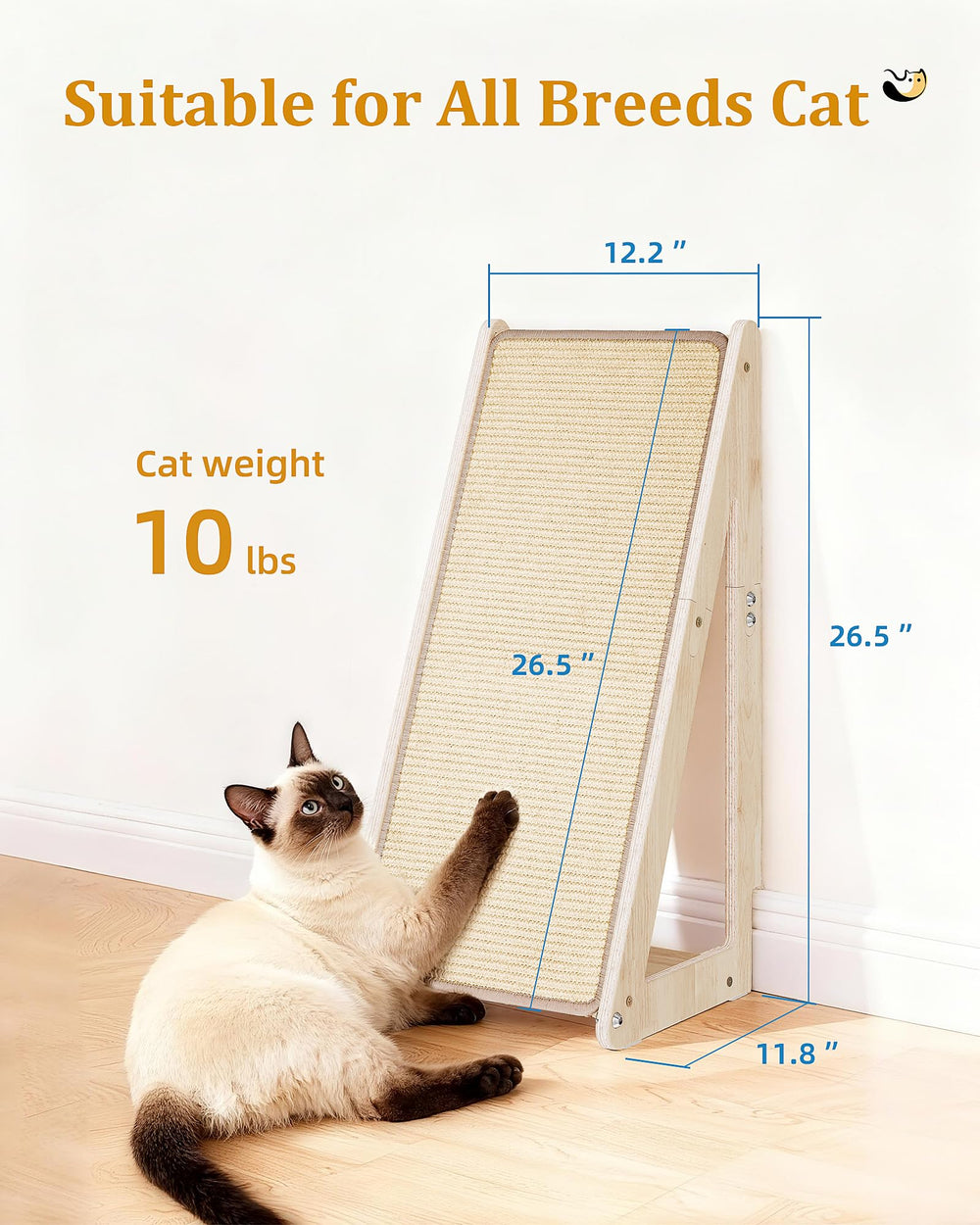 Aechonow comparaison taille avec chat adulte supporte poids