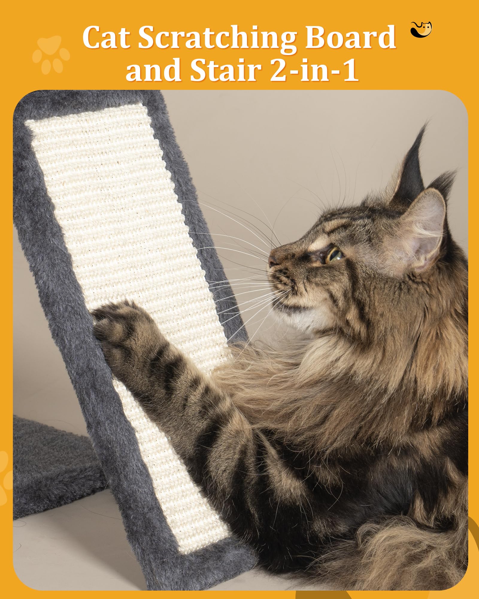 Aechonow comparaison de taille illustrant capactié pour grands chats