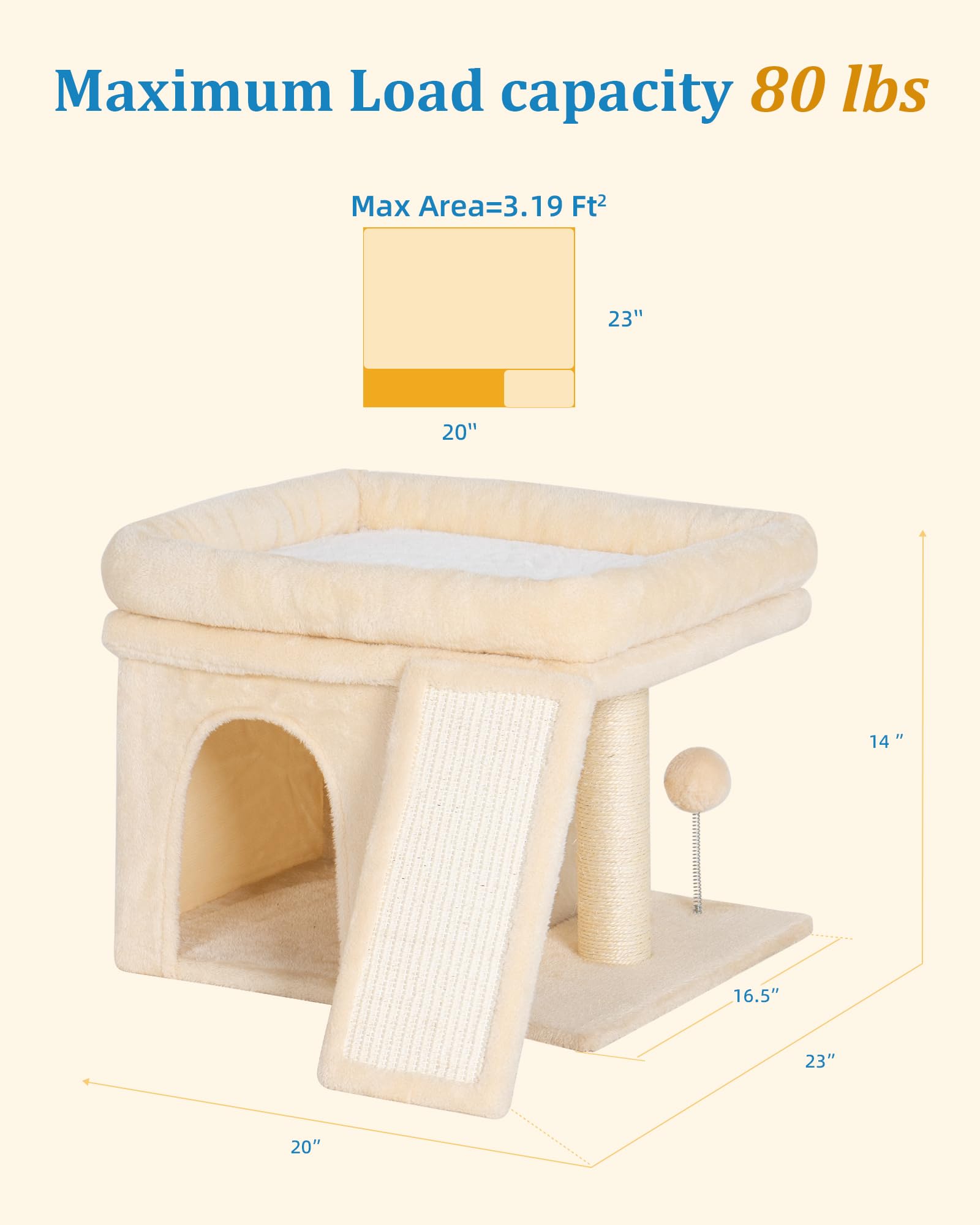 Aechonow échelle et dimensions montrant accessibilité pour chats seniors