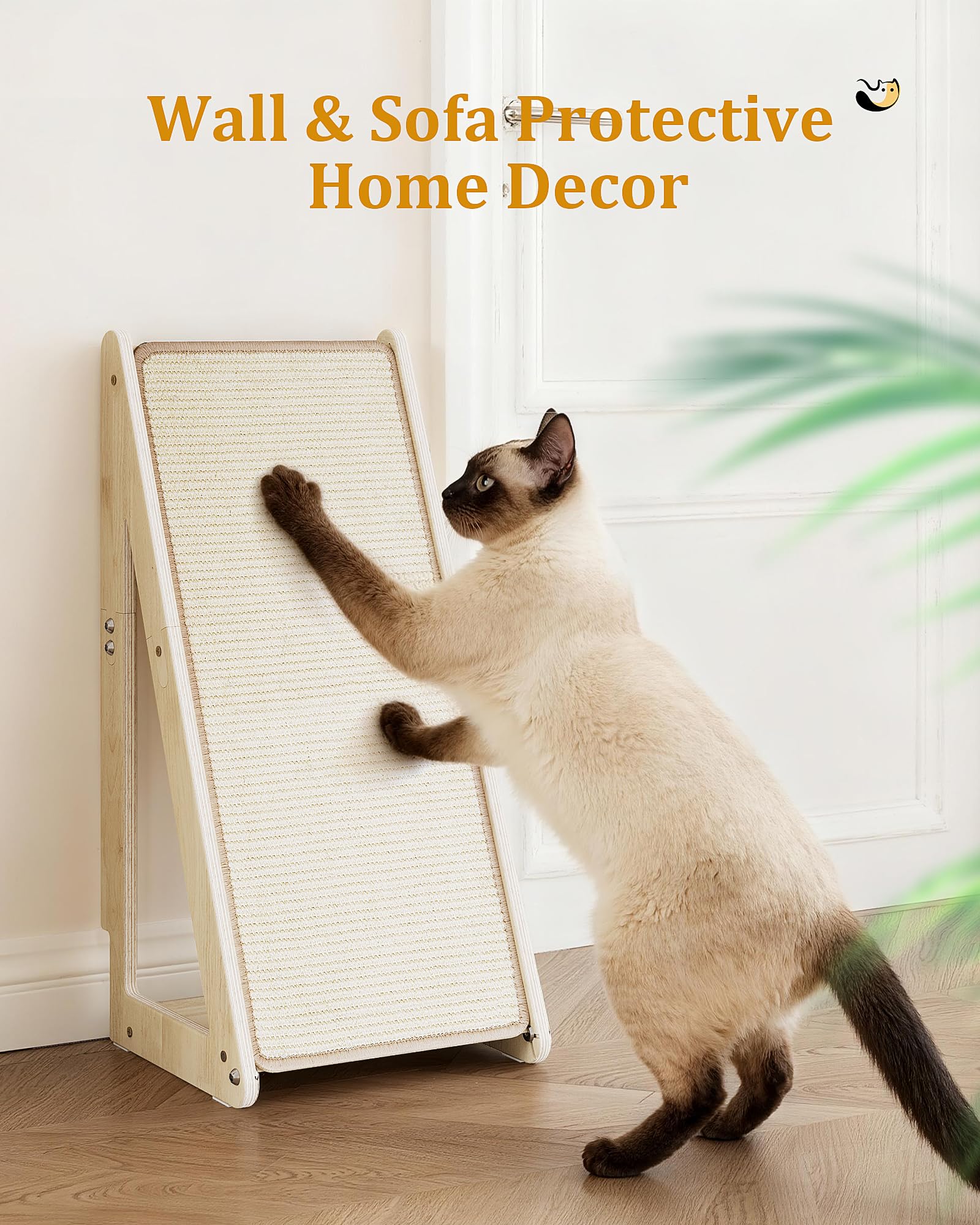 Aechonow étiquette cataire incluse attire le chat et encourage