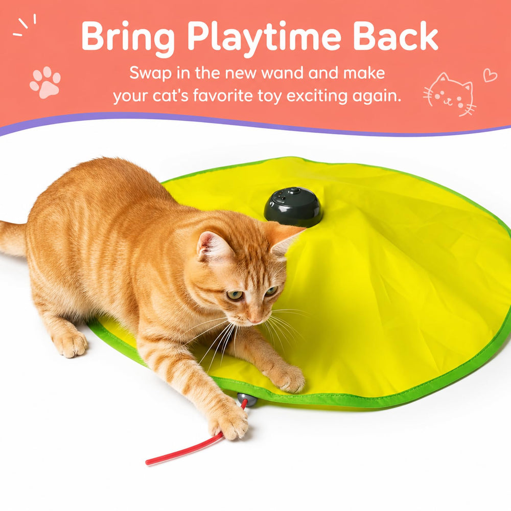 Aelop baguette en usage avec chat stimulant jeu et activité