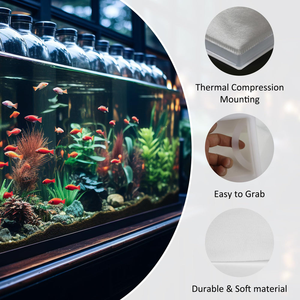 Aemygo sac-filtre installé dans décantation améliorant clarté de l'eau