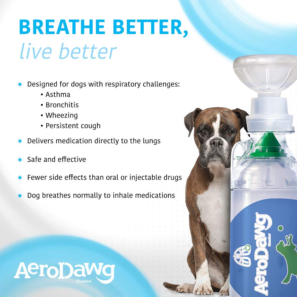 AeroDawg masque silicone gros plan assurant étanchéité et douceur
