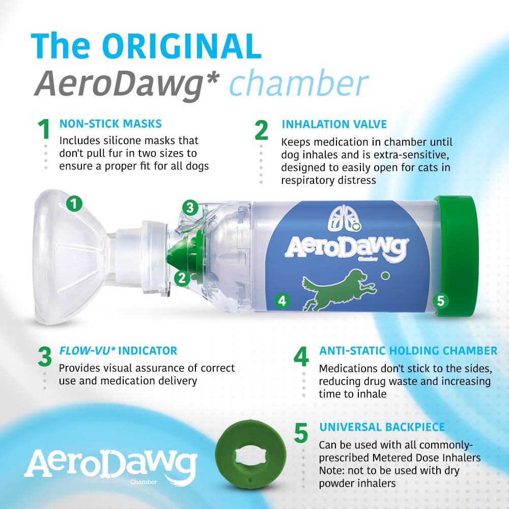 AeroDawg taille comparative à côté d'un chiot montrant l'échelle