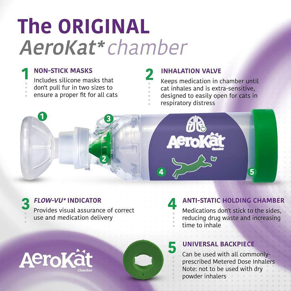 Aerokat en utilisation sur un chat calme réduisant le stress