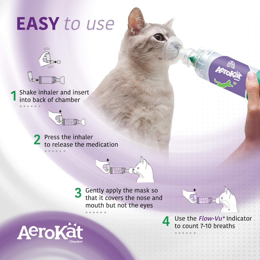 Aerokat vue intérieure de la chambre montrant étanchéité efficace