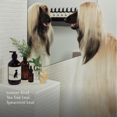 Propriétaire rinçant un chat avec Aesop pour une peau apaisée et propre