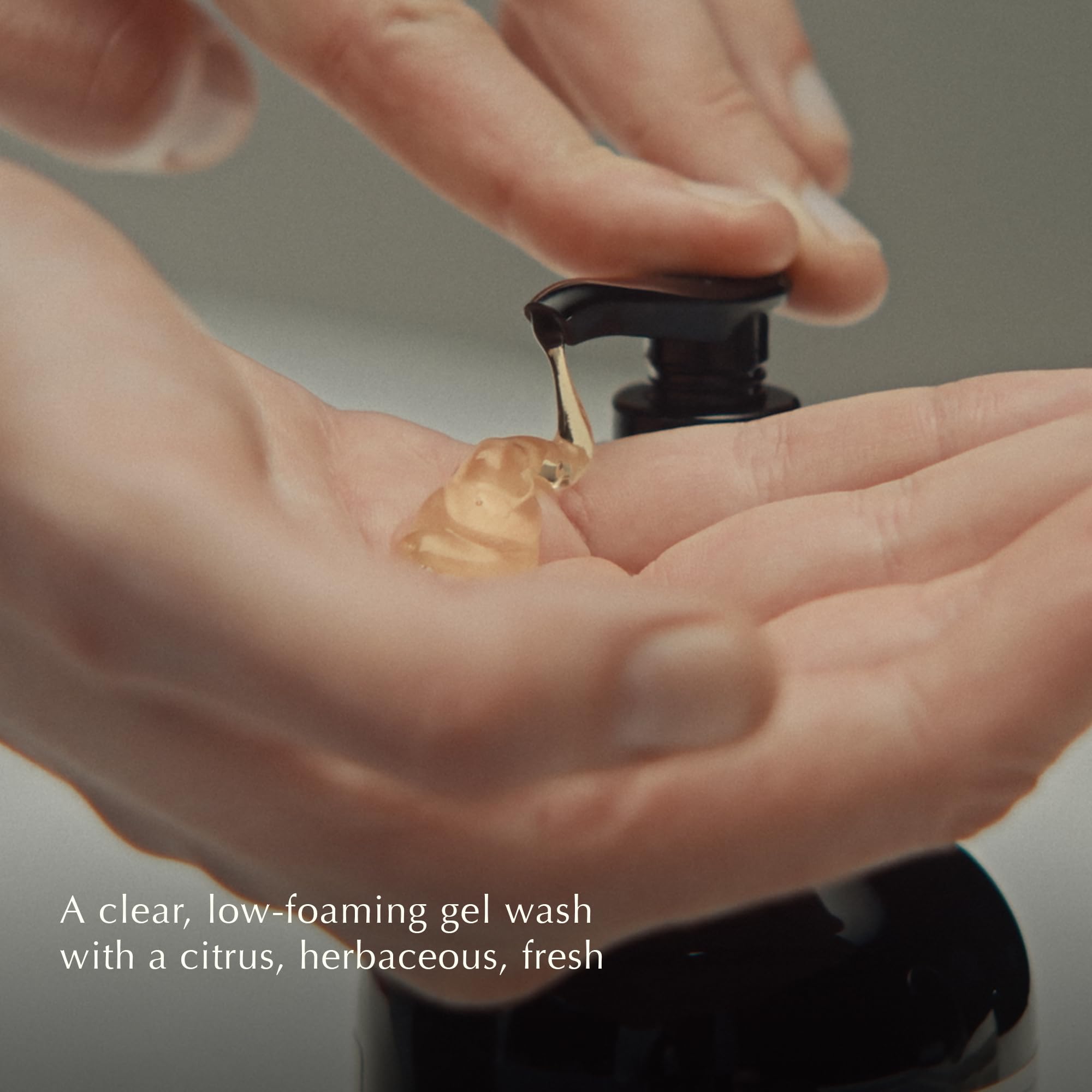 Toiletteur appliquant Aesop sur le pelage d’un chien pour un nettoyage efficace