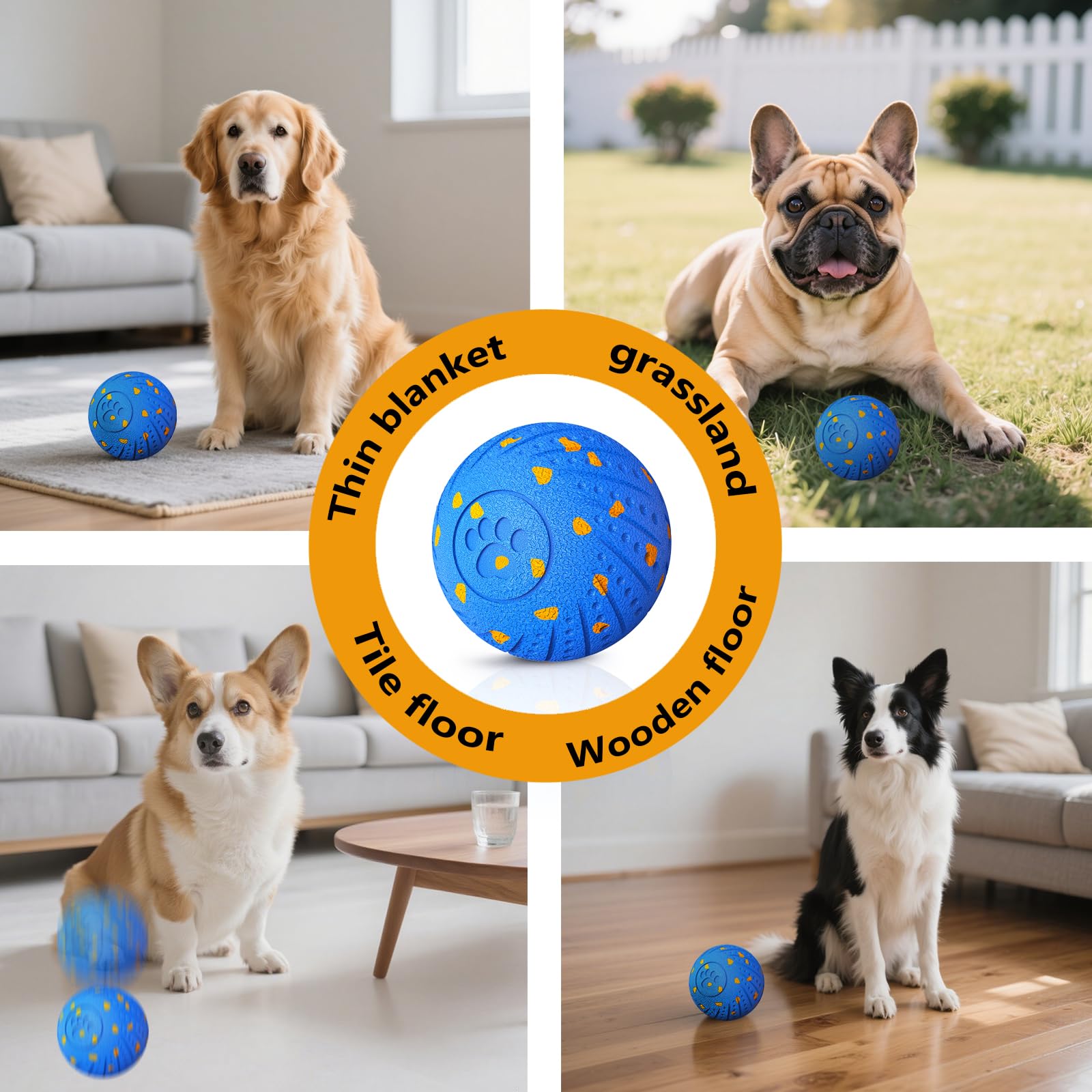 Affiuya scène intérieure avec chien jouant silencieusement, idéale pour appartements