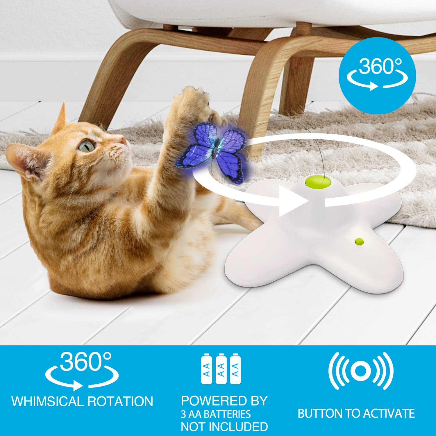 AFP comparaison de taille montrant proportion adaptée pour chats