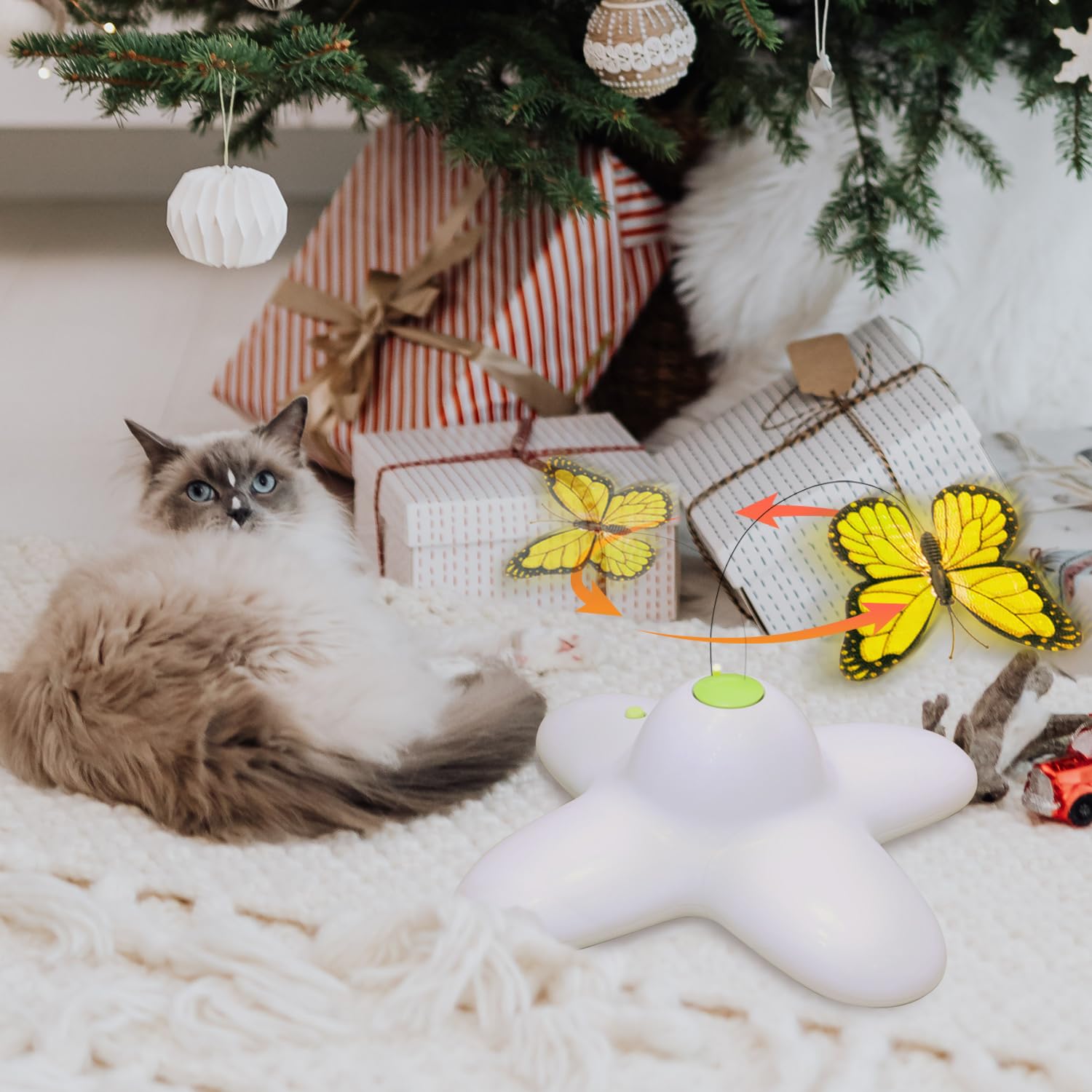 AFP scène de vie salon illustrant divertissement pour chats d'intérieur