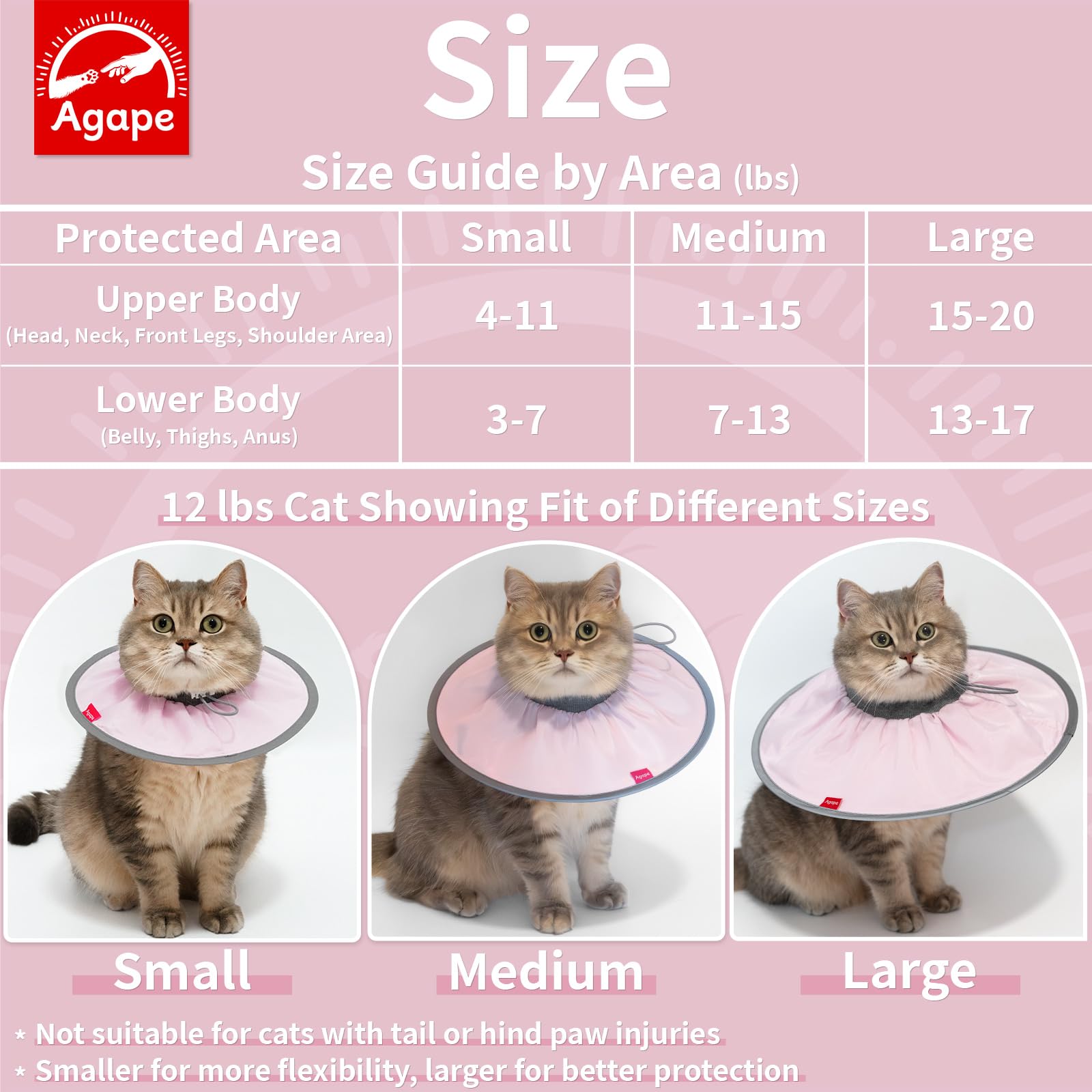Agape comparaison taille montrant ajustement et instruction choix