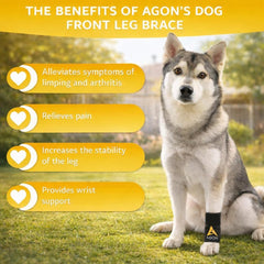 AGON sangles Velcro ajustables montrant maintien personnalisé et sécurité