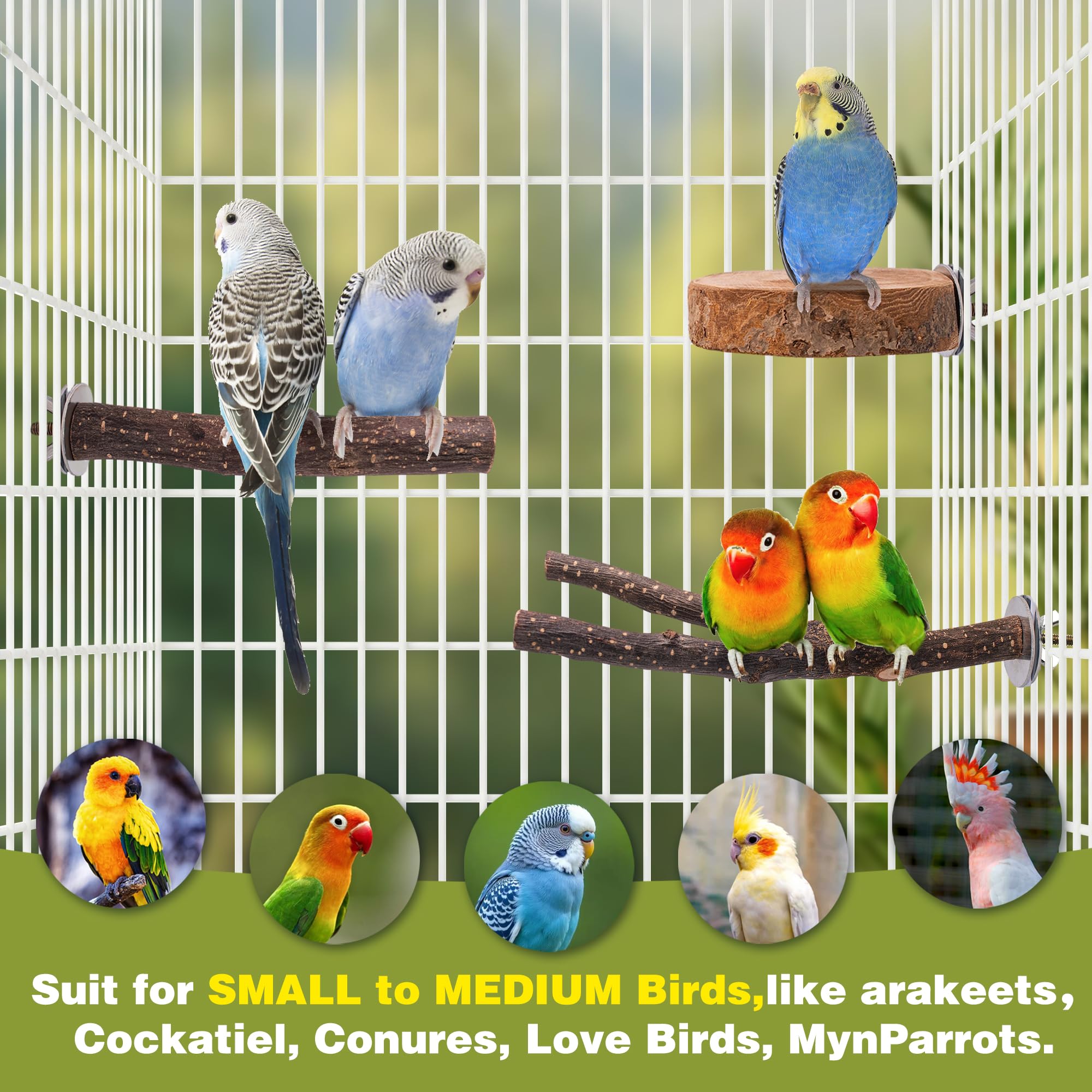 Agroria tige droite montrant fixation sur barreaux, montage rapide