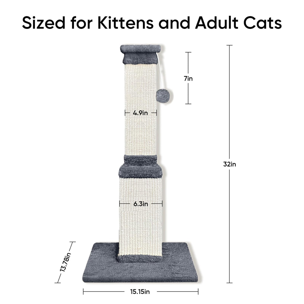AGYM base large illustrant stabilité et sécurité pour chats actifs