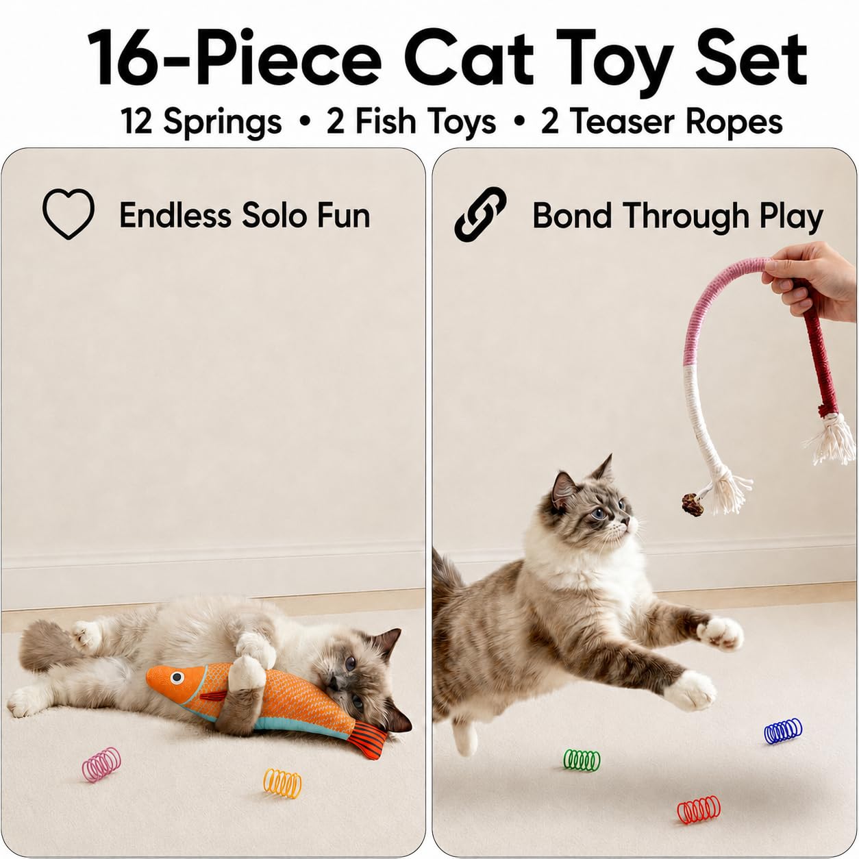 AGYM comparaison taille montrant échelle des jouets pour chatons