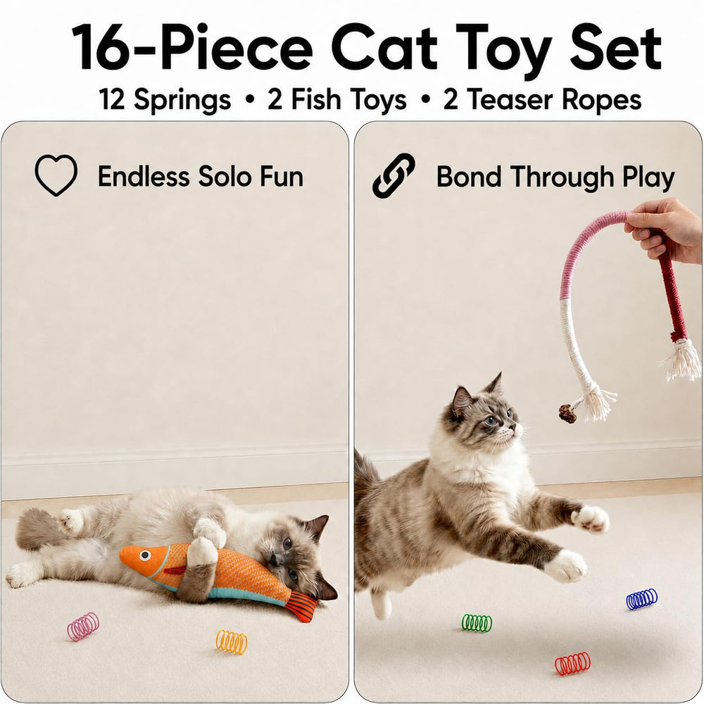 AGYM comparaison taille montrant échelle des jouets pour chatons