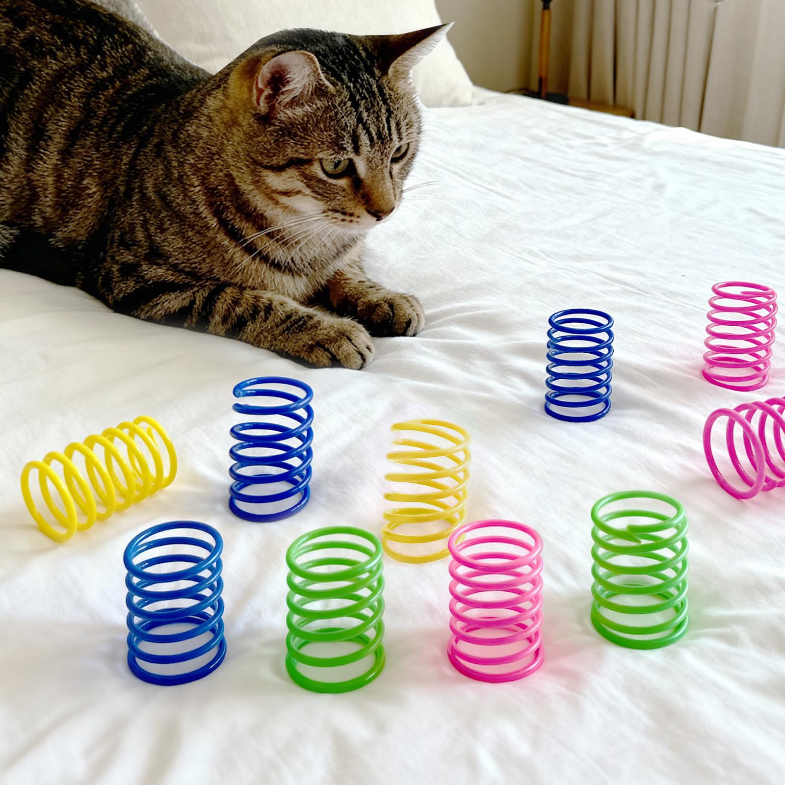 AGYM scène de jeu dans un salon illustrant interaction propriétaire-chat