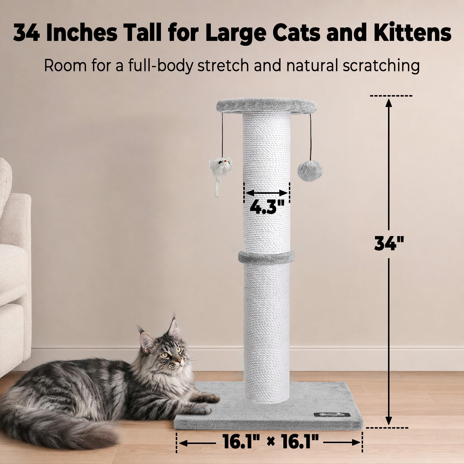 Ahomdoo base large assurant stabilité pour gros chats