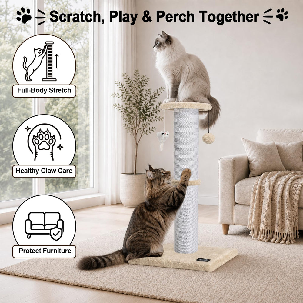 Ahomdoo corde en coton gros plan offrant texture douce et durable